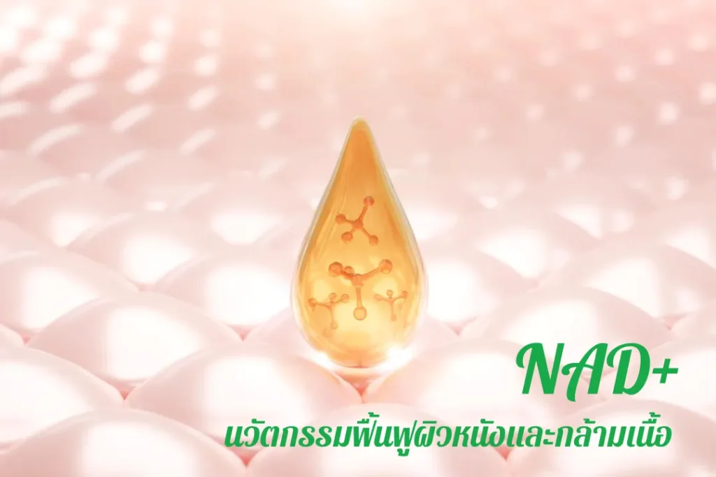 NAD+ นวัตกรรมฟื้นฟูผิวหนังและกล้ามเนื้อ